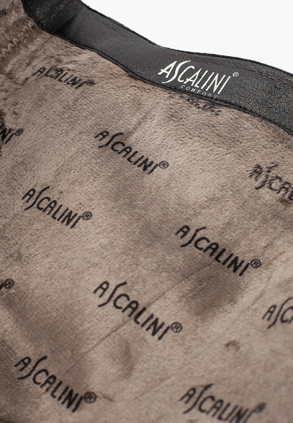 фото Сапоги ascalini