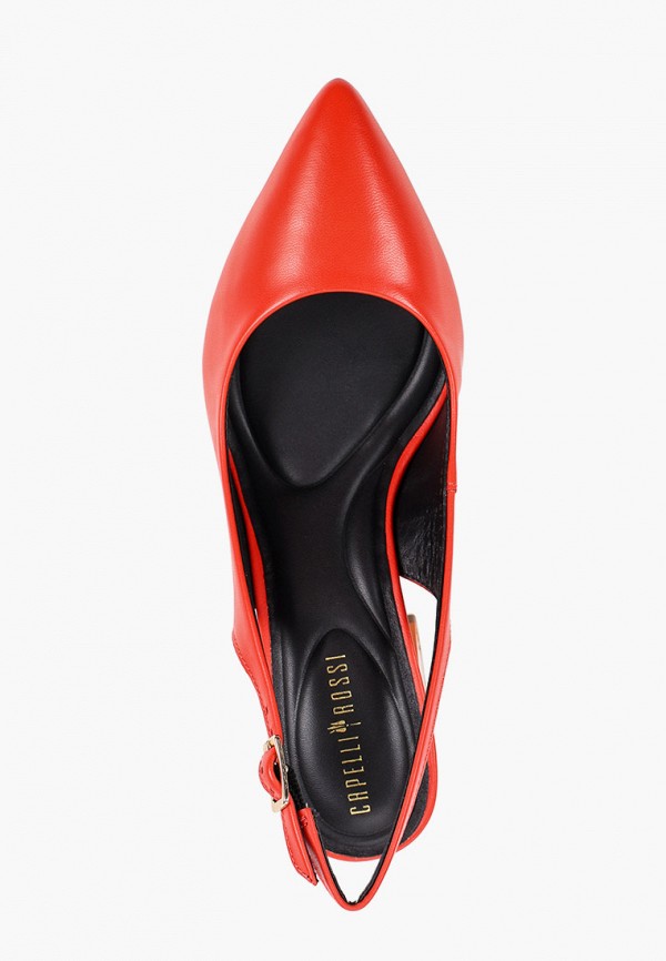 фото Туфли capelli rossi