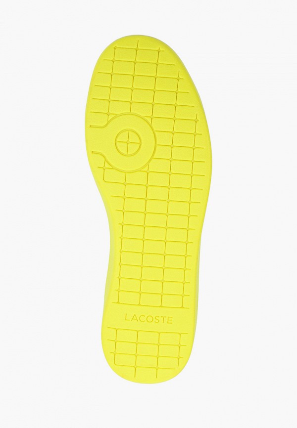 фото Кеды lacoste