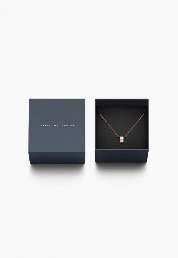 фото Подвеска daniel wellington