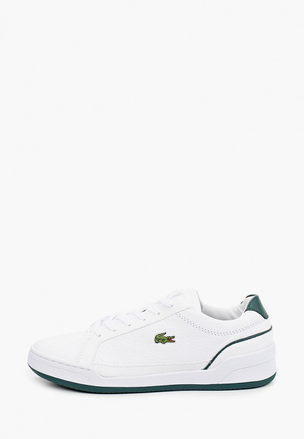 фото Кеды lacoste