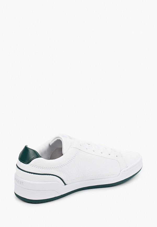фото Кеды lacoste