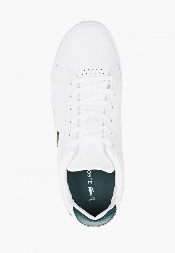 фото Кеды lacoste