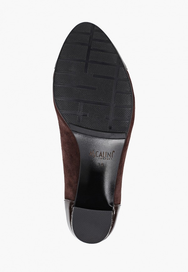 фото Туфли ascalini