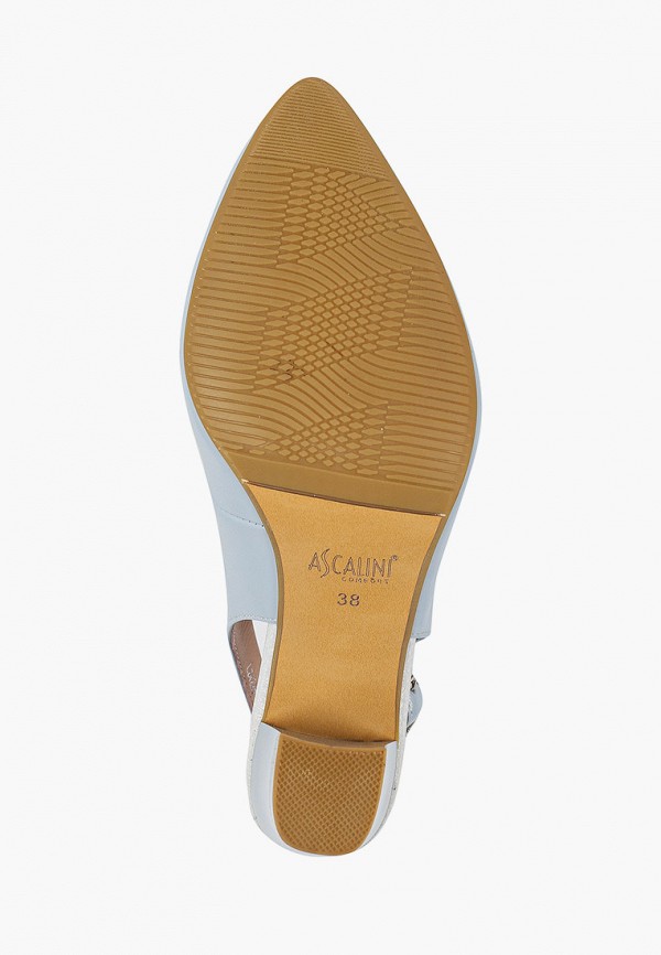 фото Туфли ascalini