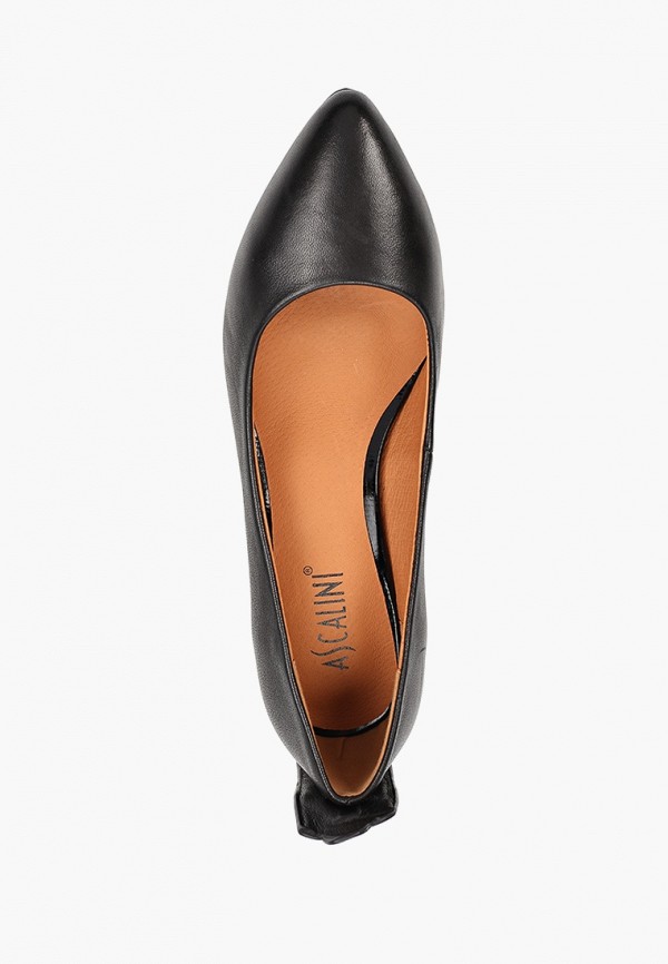 фото Туфли ascalini