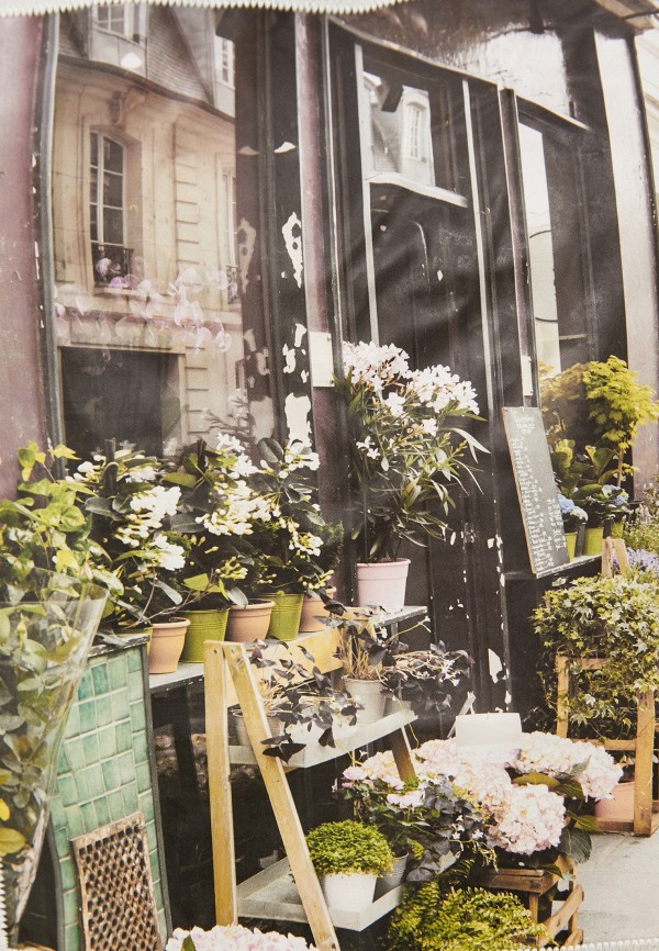 фото Футболка colin's