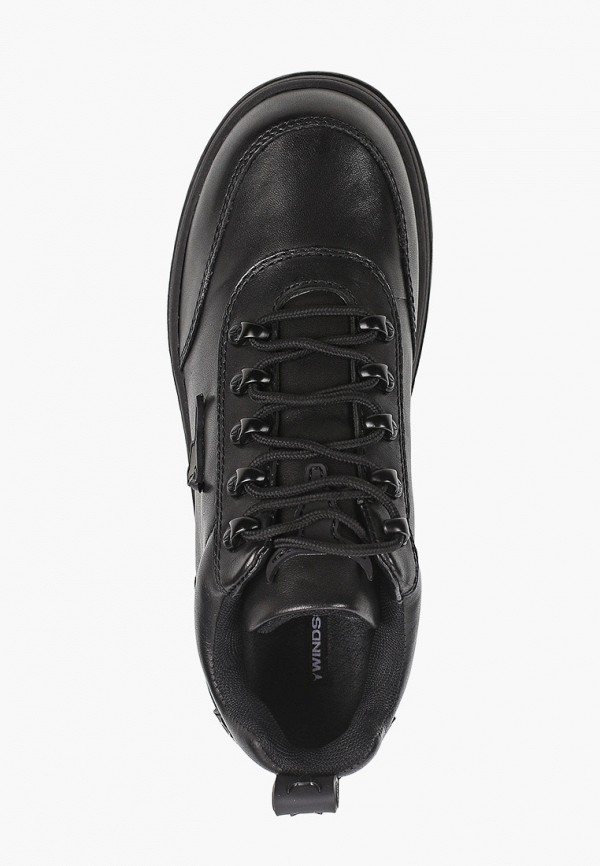 фото Кроссовки windsor smith