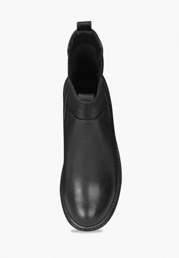 фото Полусапоги t.taccardi