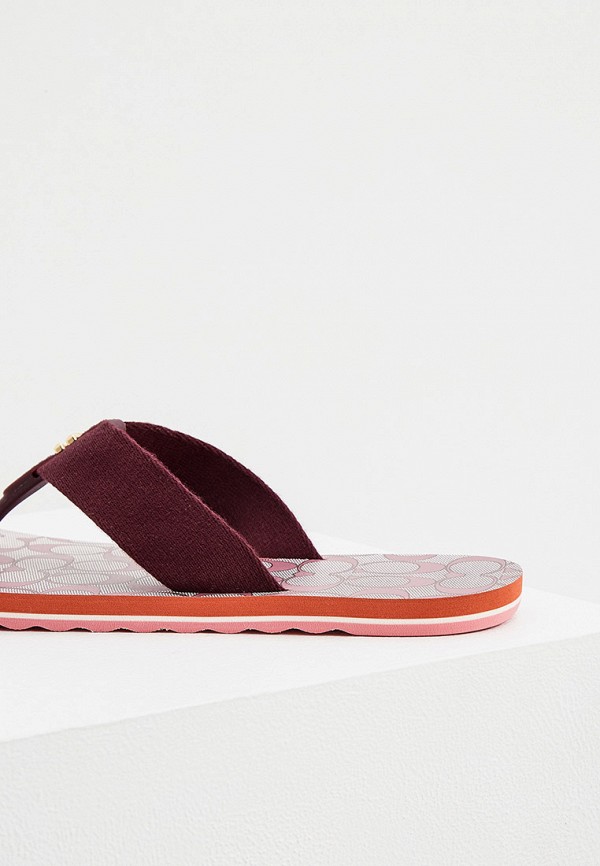 фото Сланцы coach