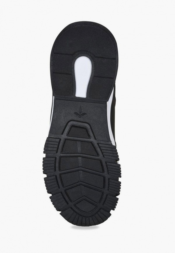 фото Кроссовки t.taccardi