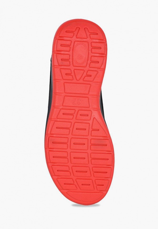 фото Кроссовки t.taccardi