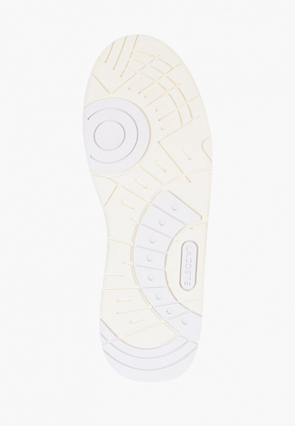фото Кеды lacoste
