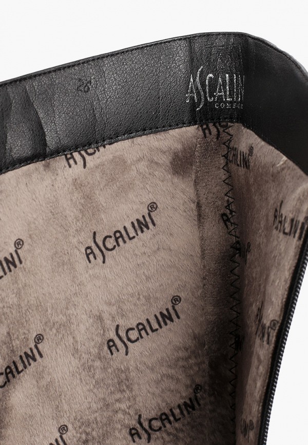 фото Сапоги ascalini