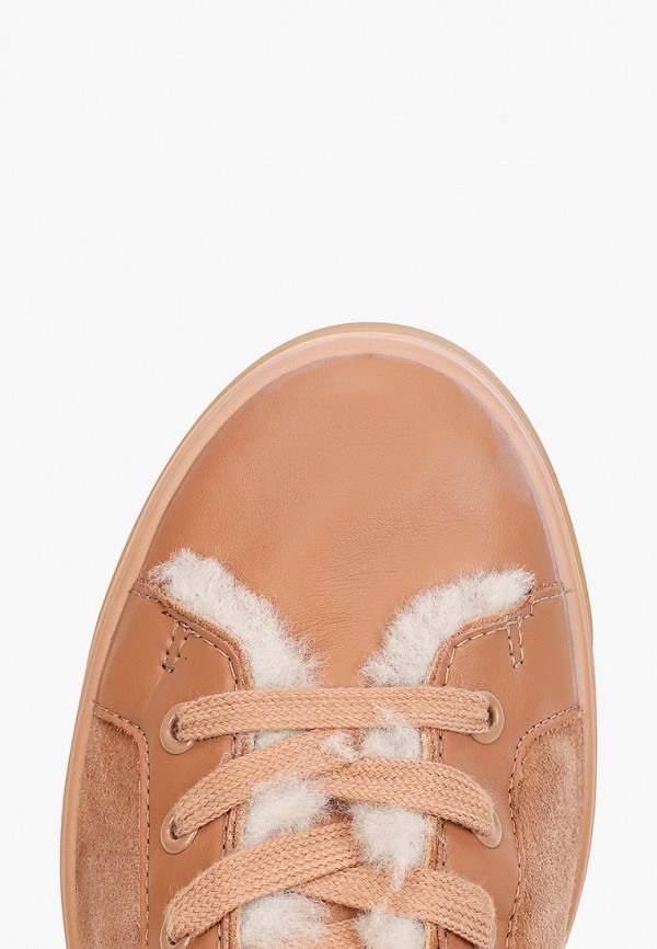 фото Кеды ecco