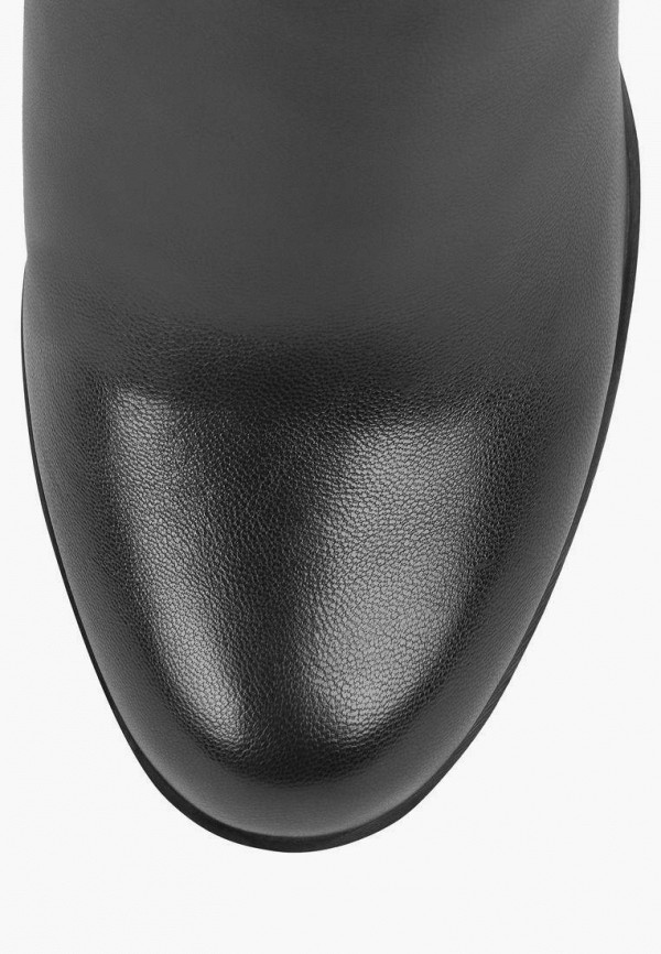 фото Сапоги t.taccardi