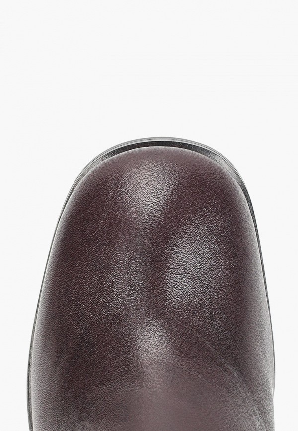 фото Сапоги lagatta