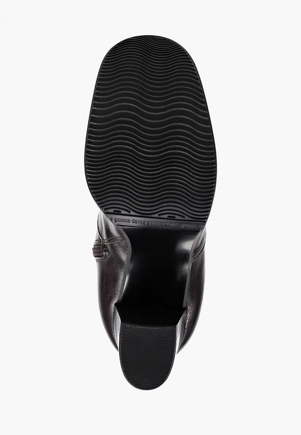 фото Сапоги enzo logana