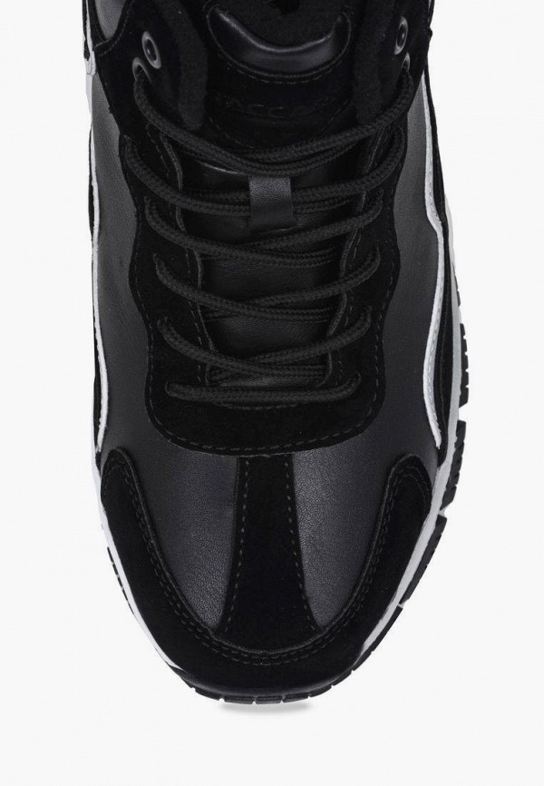 фото Кроссовки t.taccardi