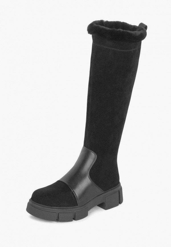 фото Сапоги t.taccardi