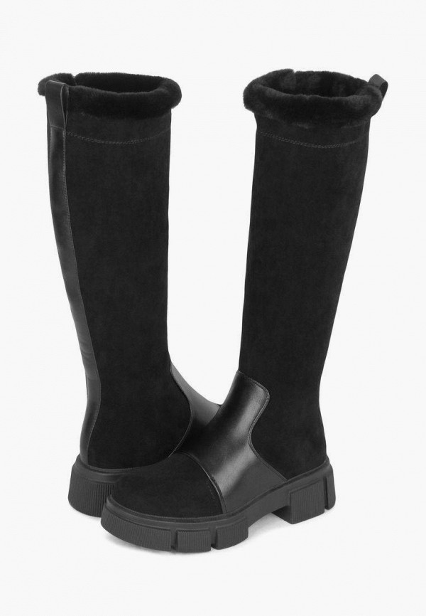 фото Сапоги t.taccardi