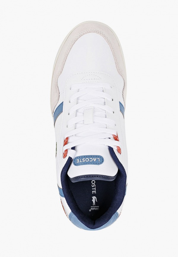 фото Кеды lacoste
