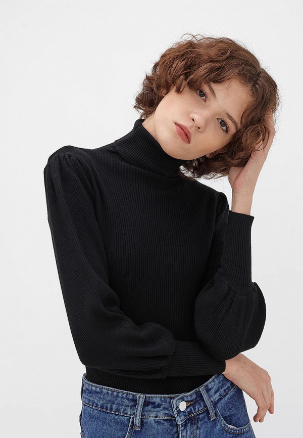 фото Водолазка noun