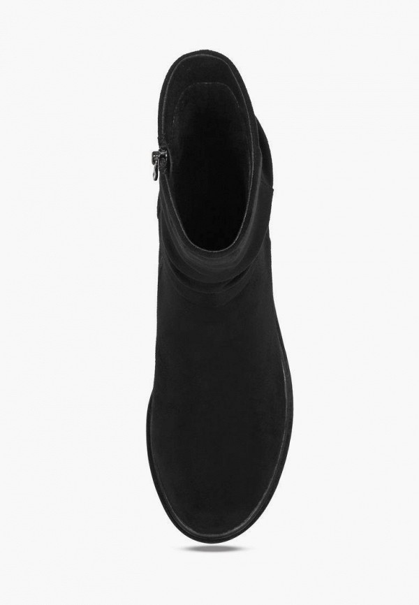 фото Полусапоги t.taccardi