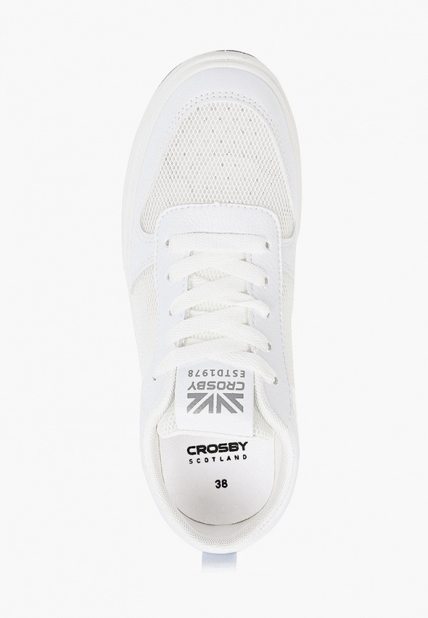 фото Кеды crosby