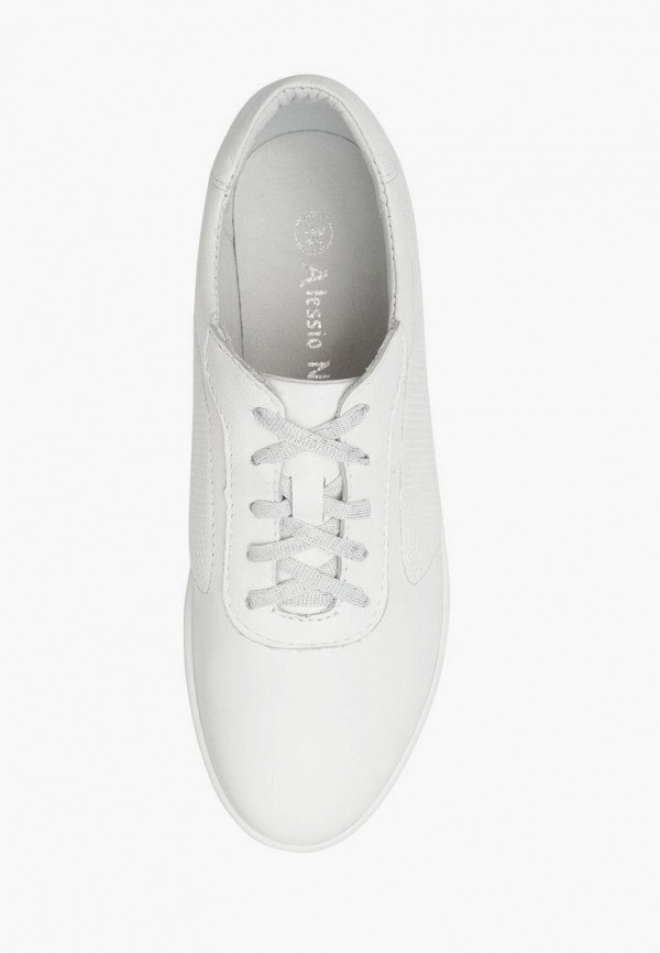 фото Кеды alessio nesca