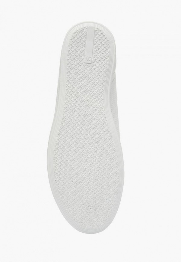 фото Кеды alessio nesca