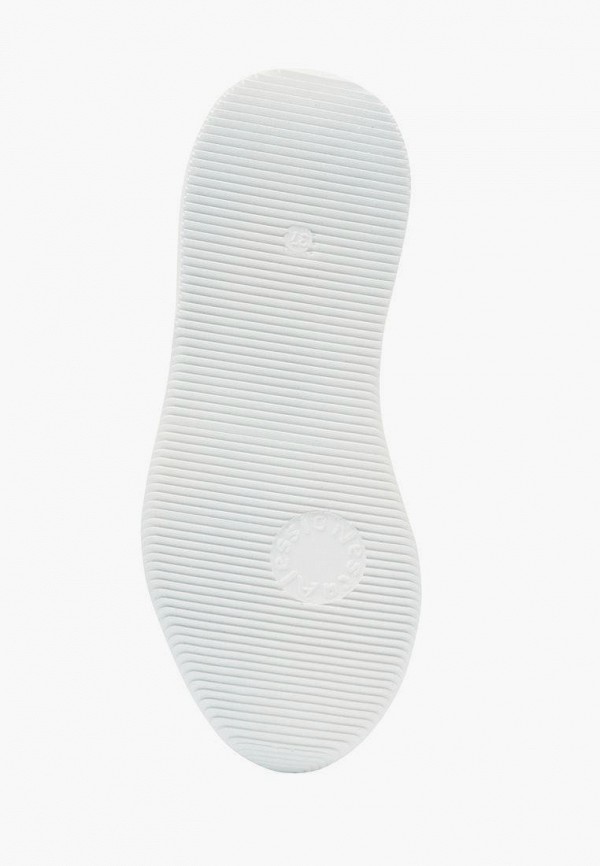 фото Кроссовки alessio nesca