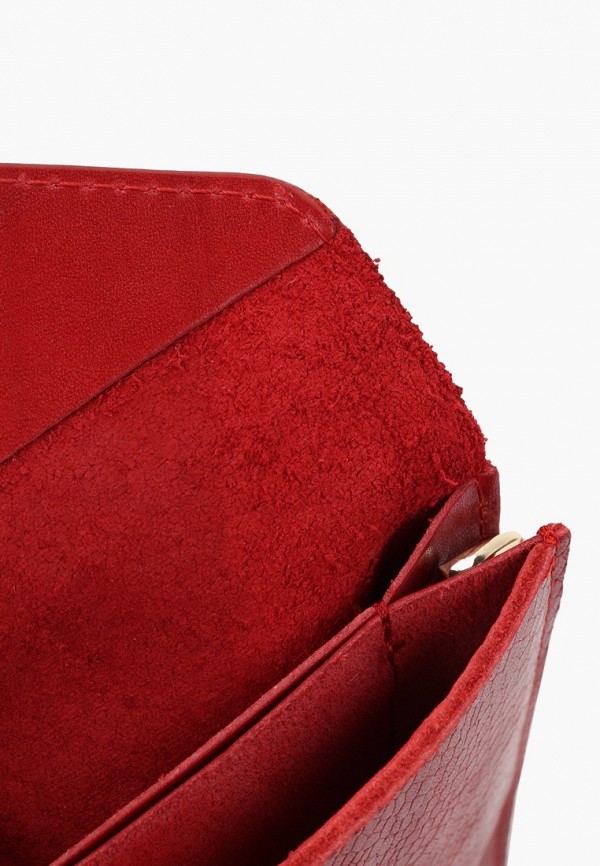 фото Сумка alexander tsiselsky