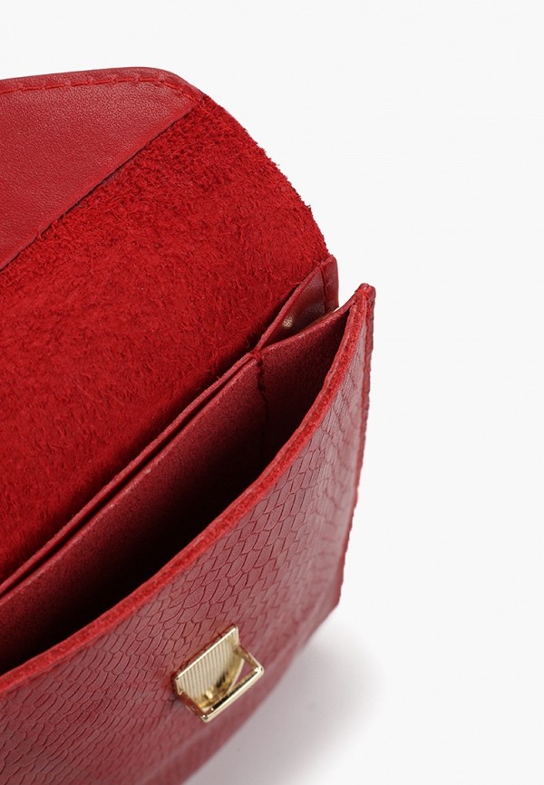 фото Сумка alexander tsiselsky