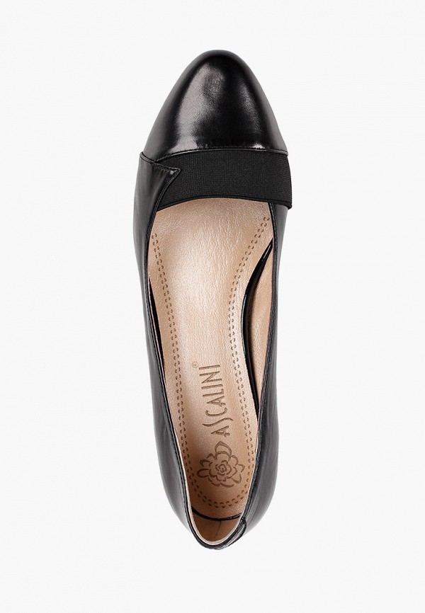 фото Туфли ascalini