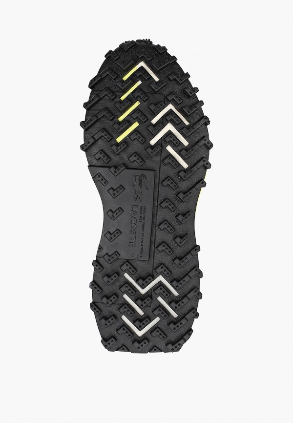 фото Кроссовки lacoste