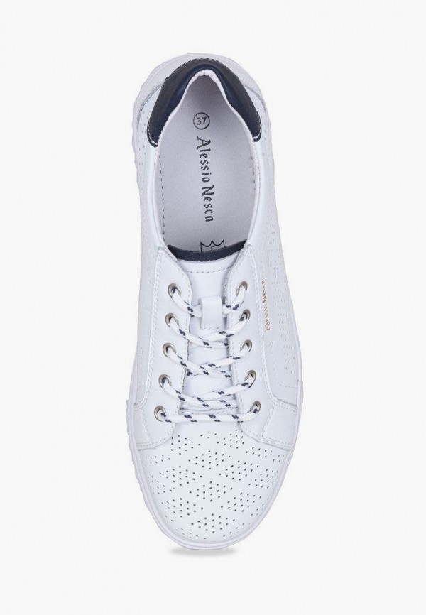 фото Кеды alessio nesca