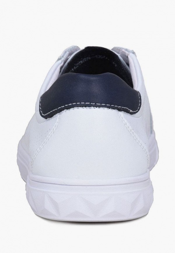 фото Кеды alessio nesca