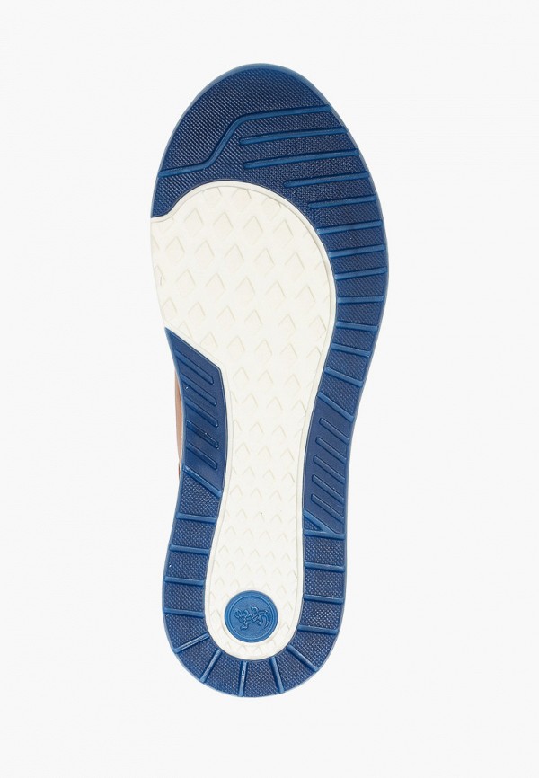 фото Кроссовки salamander