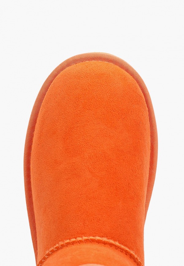 фото Полусапоги evigi