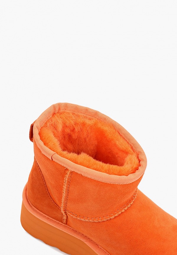 фото Полусапоги evigi