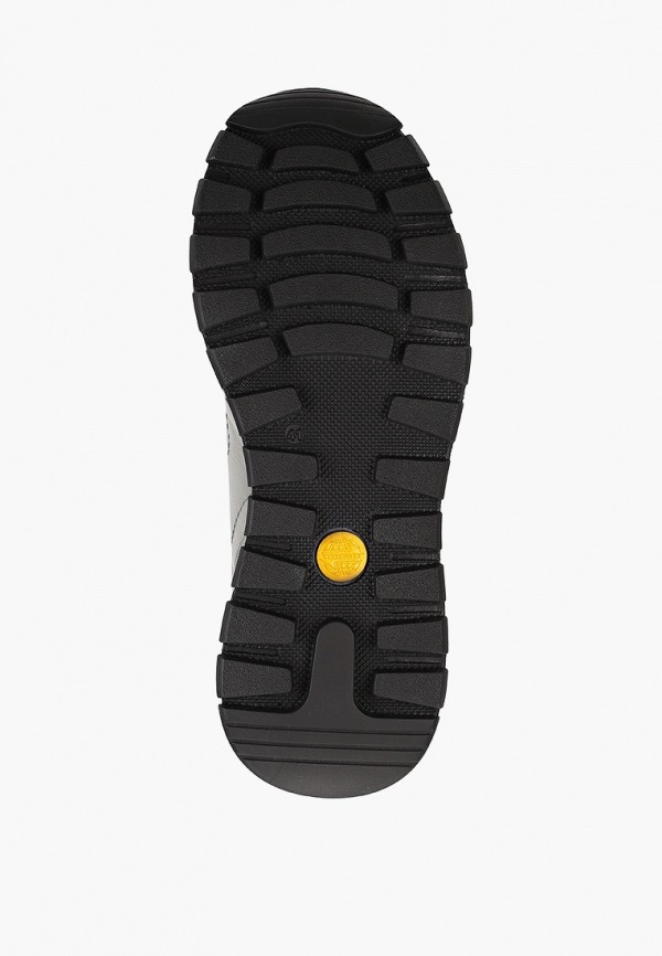 фото Кроссовки shoiberg