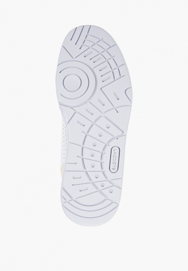 фото Кеды lacoste