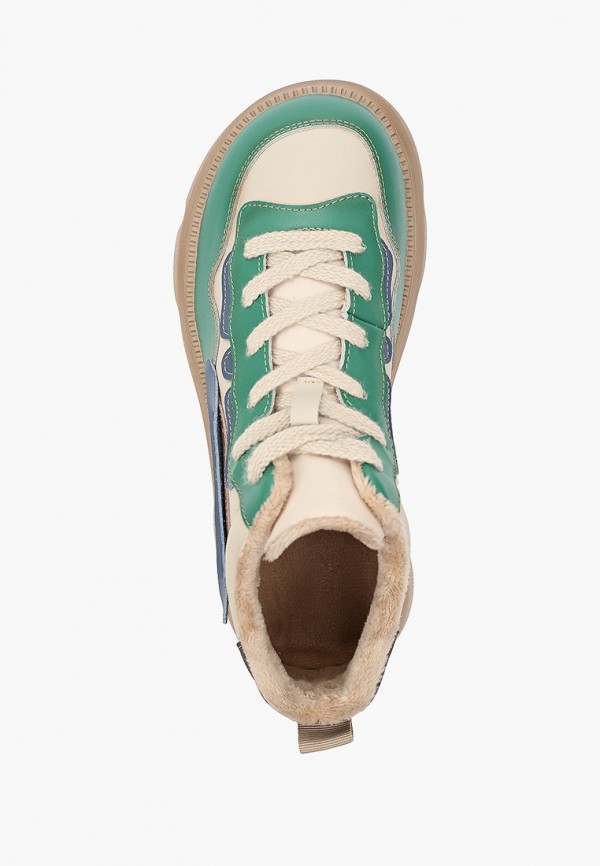 фото Ботинки sprincway