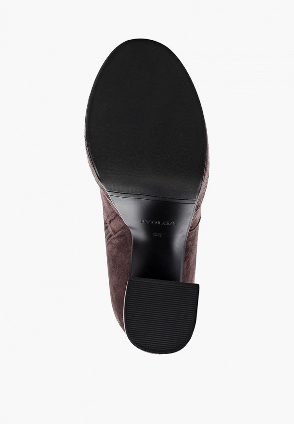 фото Ботфорты ivolga