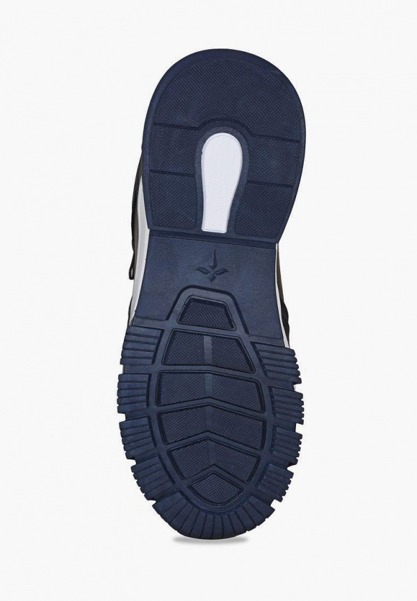 фото Кроссовки t.taccardi