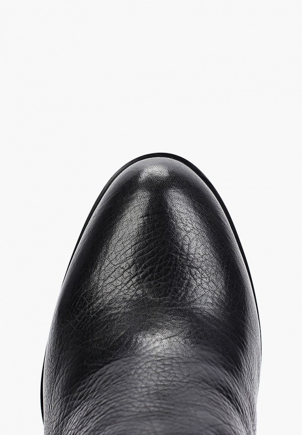 фото Сапоги basconi