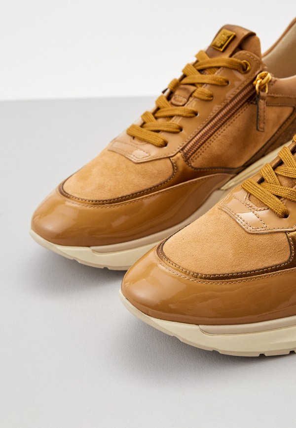 фото Кроссовки högl