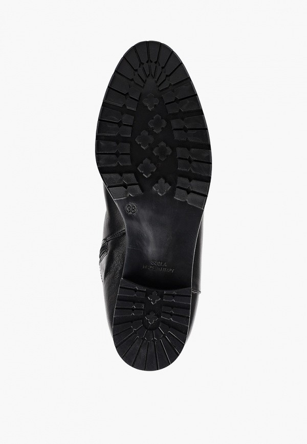 фото Сапоги pazolini