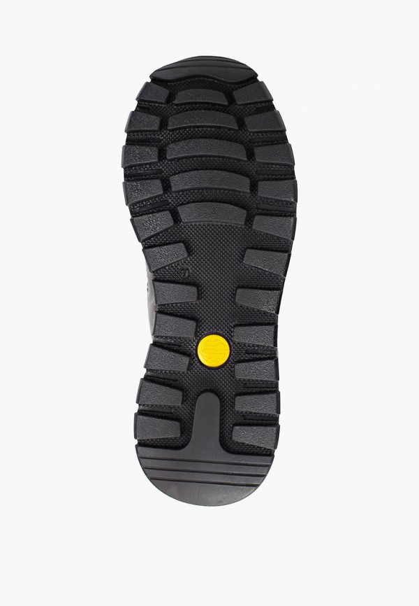 фото Кроссовки shoiberg